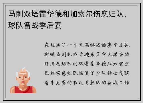 马刺双塔霍华德和加索尔伤愈归队，球队备战季后赛