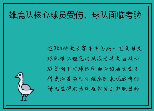 雄鹿队核心球员受伤，球队面临考验